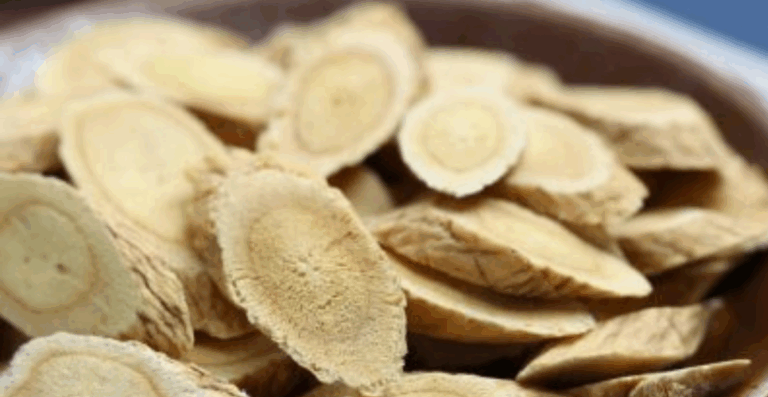 The Growing Importance of TCM Clinic Singapore in Modern Healthcare